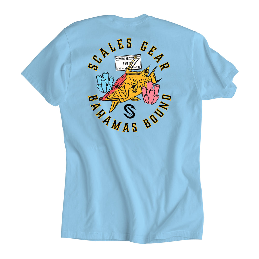 Powder Blue / 2XL