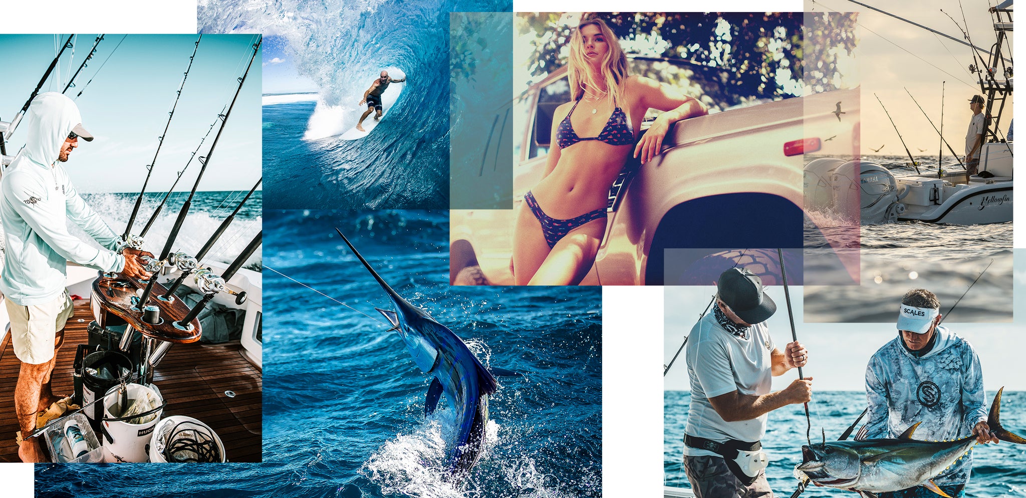 Scales Gear - Ocean-Inspired Performance Apparel for Every