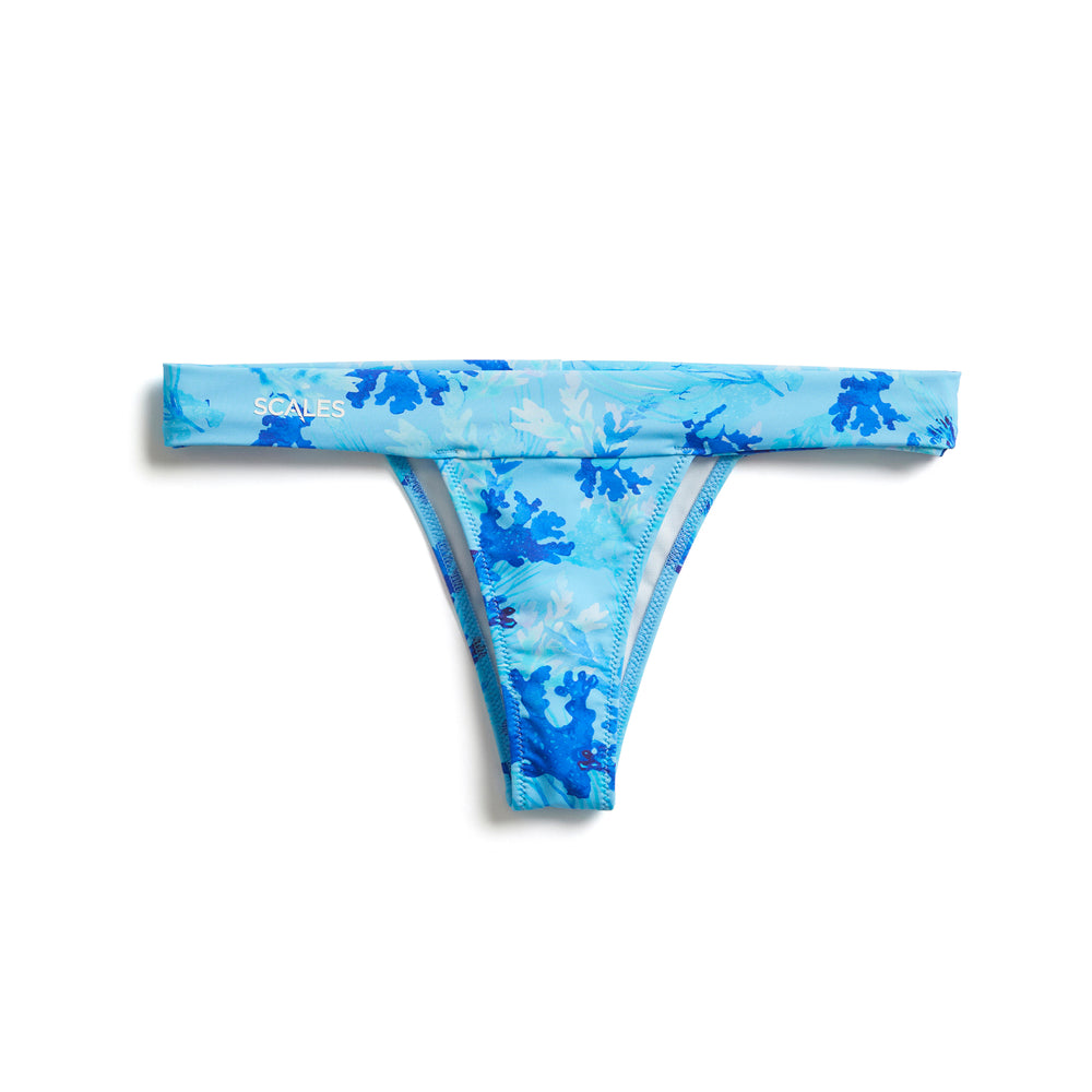 Powder Blue / XL