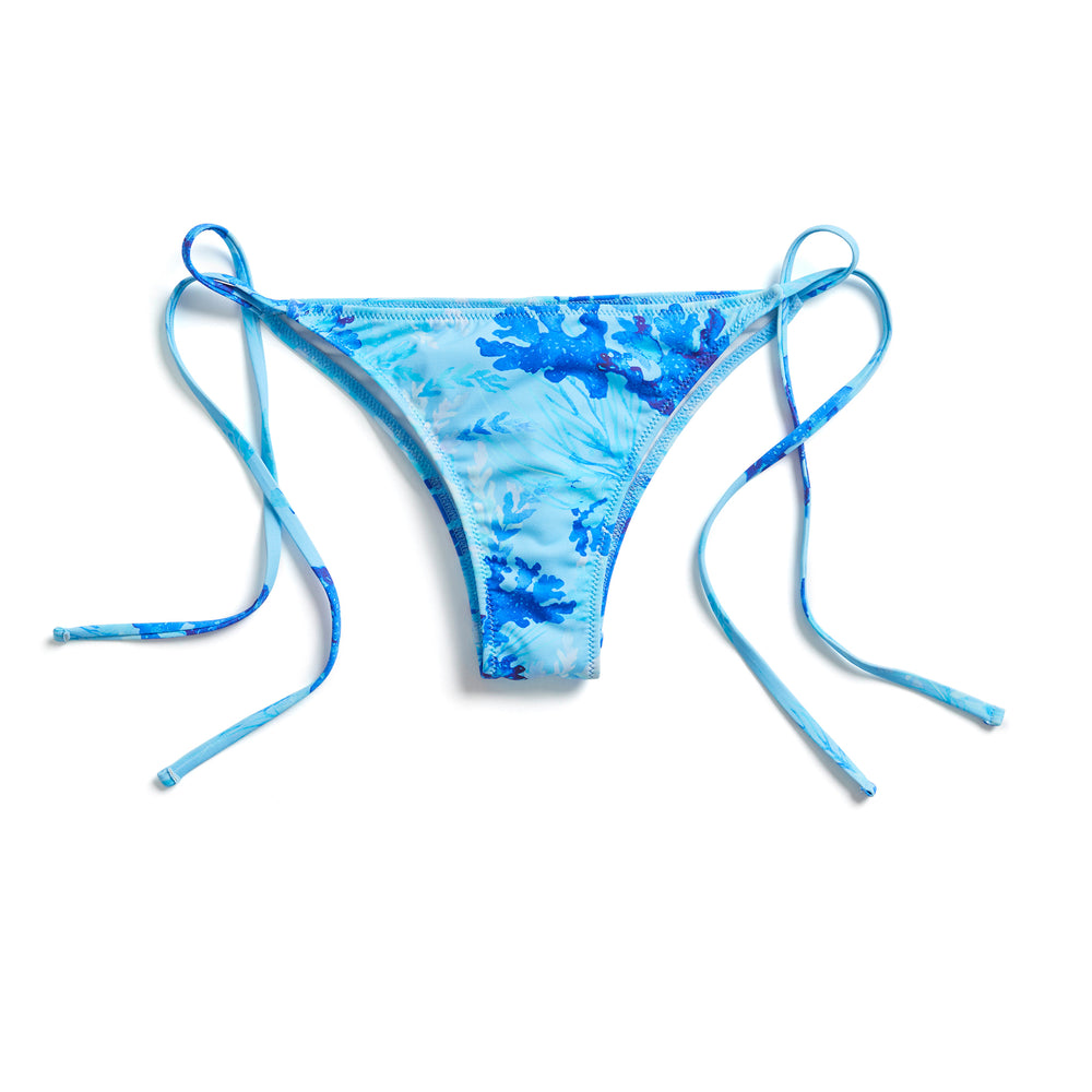 Powder Blue / XL